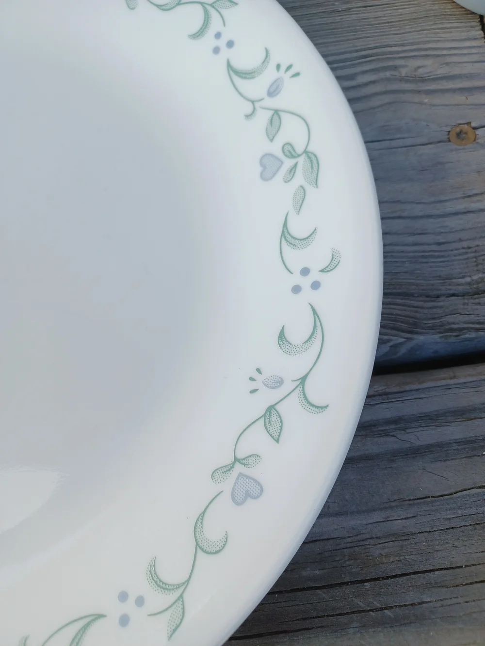 Corelle 2-Place Blue & White Dinnerware with Green Floral Trim